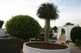 H1395 - House for sale in Nazaret, Teguise, Lanzarote, Canarias, Spain