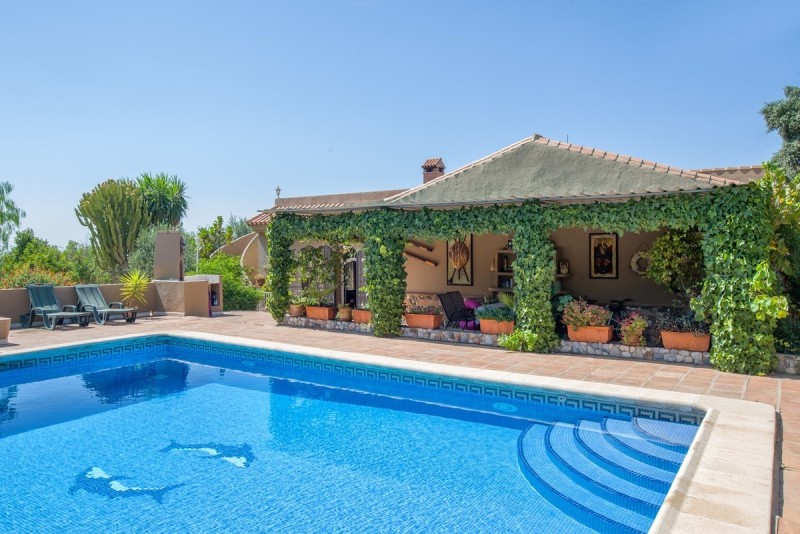 1016 I sell my property finca 4600 sqm land with 2 houses and 2 apartments & swimming pool in Malaga Spain.JPG