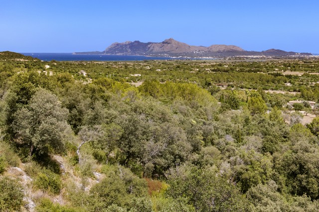 POL0556D Spacious building plots in the exclusive location of Golf Pollensa