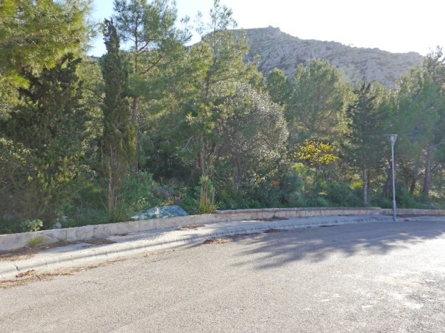 ALC0LF9124 PLOT WITH PROJECT FOR A HOUSE, BONAIRE, ALCUDIA
