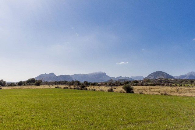 Country plots for sale in Pollensa with sea views