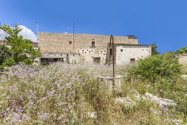 CAM0426CAM5 Countryside plot of 45,000 m2 with amazing mountain views, close to Campanet