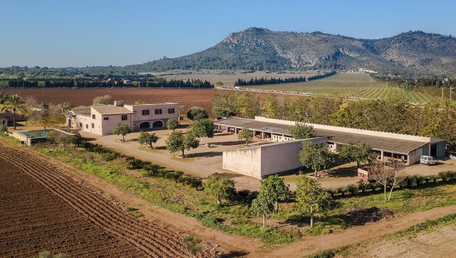 Mallorcan estate on extensive grounds offering an enormous investment potential in Llubí