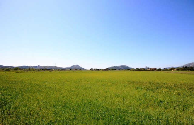 A lovely plot of land, no planning permission but can be applied for. Pollença - Alcudia - Mallorca - Balearic Island.
