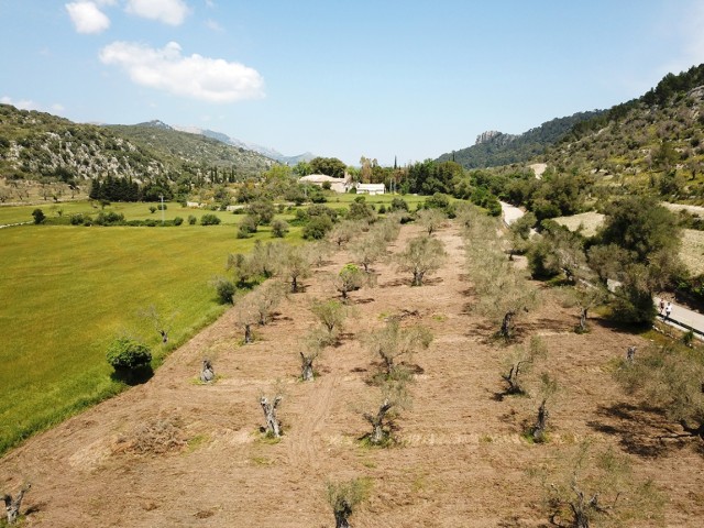 Plot with mountain view in a quiet location between Alaro and Orient
