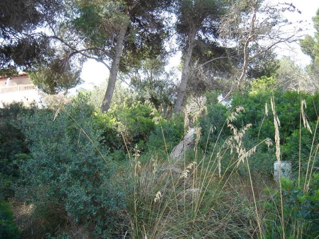 CAD0138 Excellent opportunity to purchase a building plot in Cala d'Or