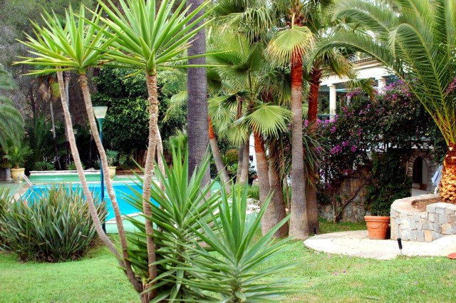 Large villa for sale with fantastic Mediterranean garden