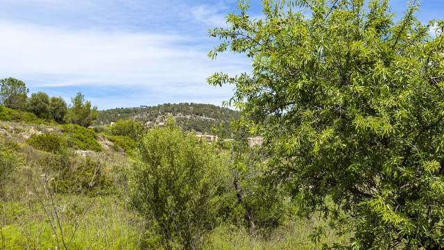 SWOCAL0179 Building plot investment opportunity in Calvià