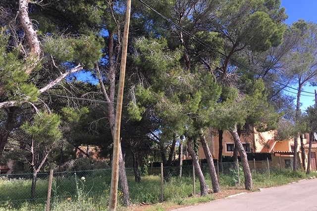 Residential plot with building license in a desirable area on Santa Ponsa
