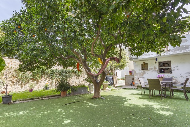 Fantastic investment property with garden and space for a pool in Pollensa