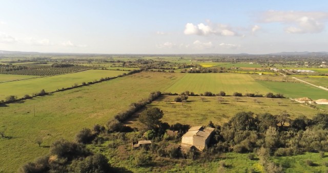 Huge country property with lots of potential between Manacor and Felanitx
