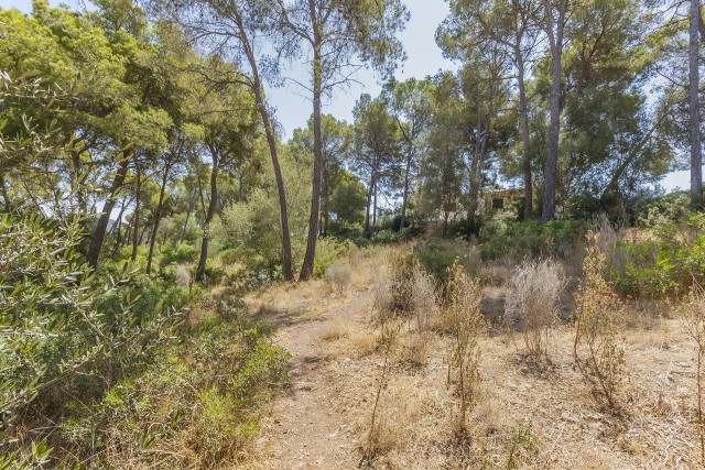 SWONSP0277 Build your dream home on this quiet residential plot in Santa Ponsa