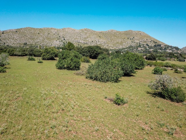 POL0619 Idyllic plot with great potential, between Pollensa town and the port