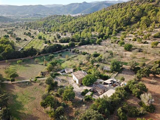 Finca on a 52.500m2 plot of land just 10 minutes away from Alaro