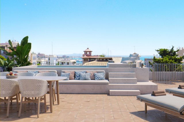 SWOPAL10221J Penthouse with private pool and roof terrace in Palma