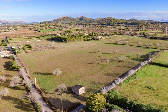ALC0526 Idyllic plot with permission to build a 500m2 house with pool in Alcudia