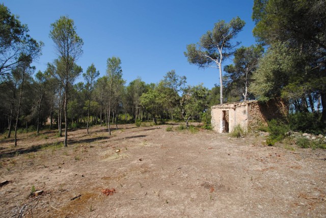 00798 - Land For sale in Felanitx, Mallorca, Baleares, Spain