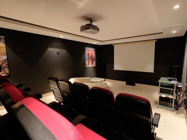 Cinema room  (2)