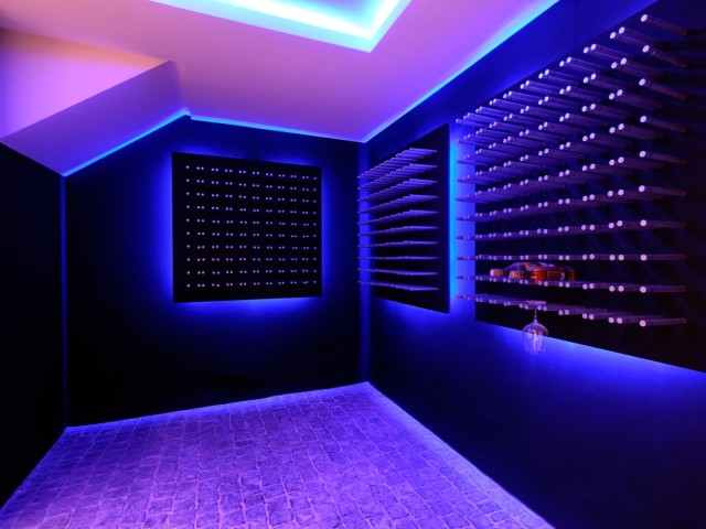 Wine cellar  (1)