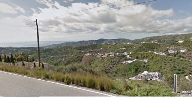 Grund på 18.910 kvadratmeter med oliventræer i Frigiliana.