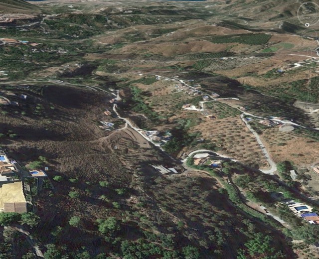 Plot of 18,910 square meters with Olive trees in Frigiliana.