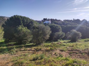 Land Nieruchomości in Sotogrande Alto, San Roque, Cádiz, Hiszpania