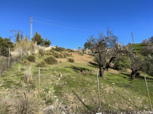 850200 - Country plot for sale in Guaro, Málaga, Spain