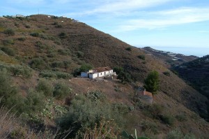 315805 - Finca to be restored for sale in Torrox, Málaga, Spain