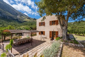 Historic Mallorcan manor with vineyard and agrotourism license in Pollensa