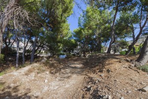 Great plot with building permission and sea views in Cala San Vicente, near Pollensa
