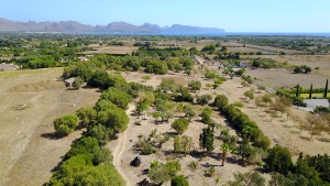 Land for sale in a idyllic location with sea views in Pollensa, north Mallorca