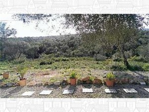 Opportunity with sea views: Plot of land with building permits and amazing views, near Palma.
