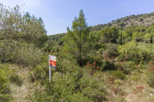 Picturesque plot with lots of potential, near the golf course in Pollensa