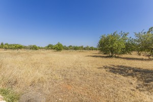 Countryside plot with building license in a sought-after area in Santa Maria