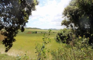 Country building plot with lots of potential in Sant Joan, Montuïri