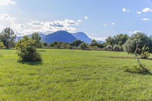Land of 15,800 m2 with an approved project located between Pollensa and Puerto Pollensa