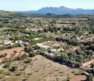 Plot of land with project and license in a superb rural location near Pollensa town and the beaches