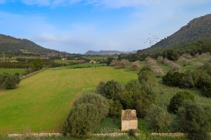 Big plot of land in a peaceful and very beautiful rural area near Alcúdia town