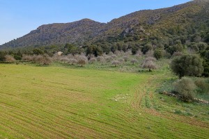 Big plot of land in a peaceful and very beautiful rural area near Alcúdia town