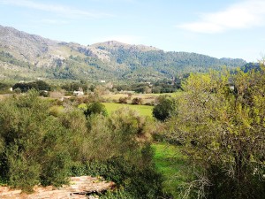 Mallorcan finca in need of renovation in the Vall d'en March, Pollensa
