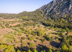 Magnificent rustic plot for sale in Pollensa with stunning views to the mountains