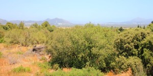 Project for new country home with panoramic views in Playa de Muro, Mallorca North