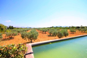 Superb country house for sale with olive tree grove between Pollensa and the bay