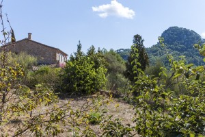 Finca in the beautiful countryside of Galilea with nice views