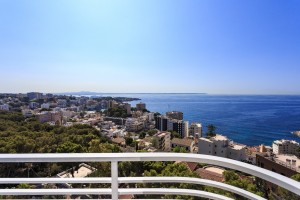 Unique opportunity to aquire your dream penthouse apartment!