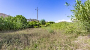 Rustic plot of land within walking distance to Puerto Andratx