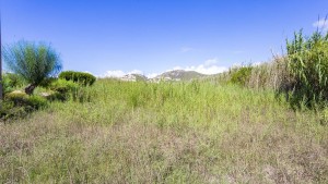 Rustic plot of land within walking distance to Puerto Andratx