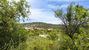 Building plot investment opportunity in Calvià