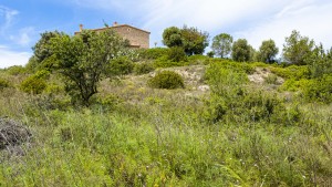 Building plot investment opportunity in Calvià