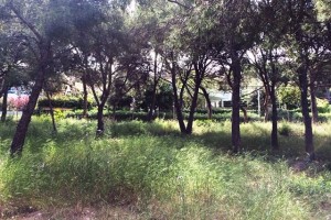 Residential plot with building license in a desirable area on Santa Ponsa